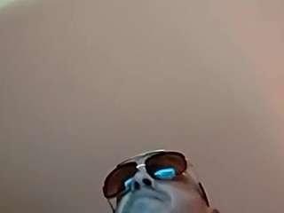 ejnyc4646 webcam model stream image