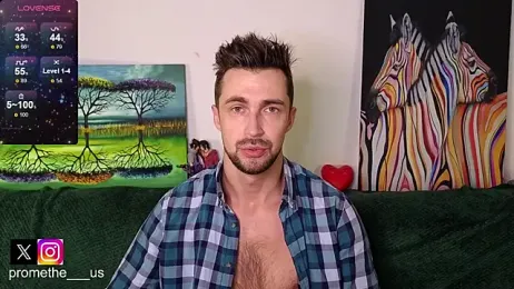 Promethe_us webcam model stream image