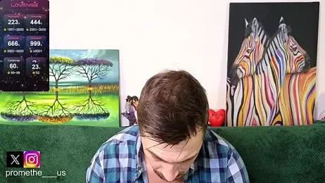 Promethe_us webcam model stream image