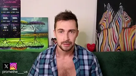 Promethe_us webcam model stream image