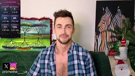 Promethe_us webcam model stream image