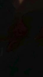 Nachovidal1985 webcam model stream image