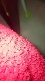 Cassandra64 webcam model stream image