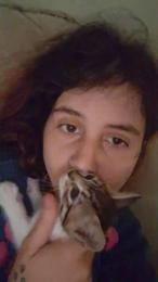 amigaslesb webcam model stream image