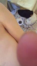 amigaslesb webcam model stream image