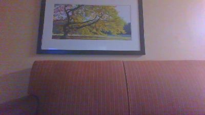 RicRah_x webcam model stream image