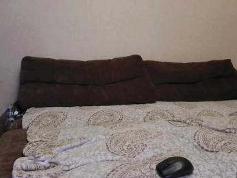 Pozhestche webcam model stream image