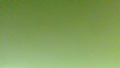 BIRDY1383 webcam cam4 model stream image