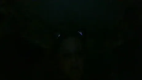 stormynight1 webcam model stream image