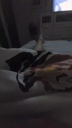 mischell7 webcam model stream image