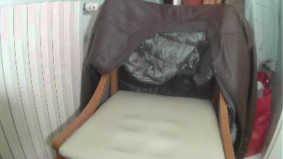 big22mi webcam model stream image