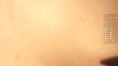 TierraCheck webcam cam4 model stream image