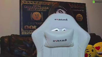 PalmarisFord webcam model stream image