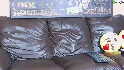 PalmarisFord webcam model stream image