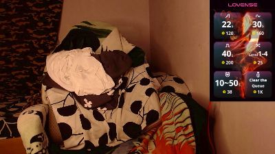 codenok webcam model stream image