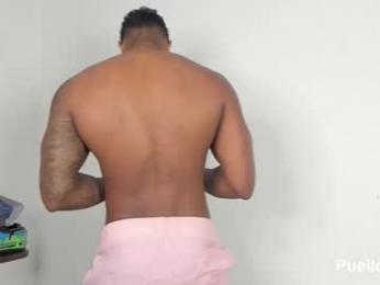 xtipp3r webcam model stream image