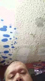 Pollaaac4 webcam model stream image