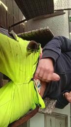 Cum_dick83 webcam model stream image