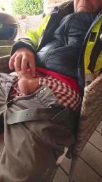 Cum_dick83 webcam model stream image