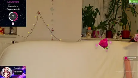 VenomVixen webcam stripchat model stream image