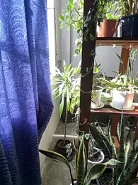 Lust_guy27 webcam model stream image