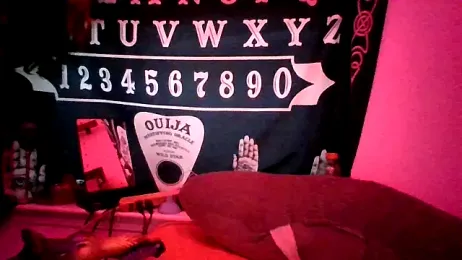 spunfoxxx webcam model stream image