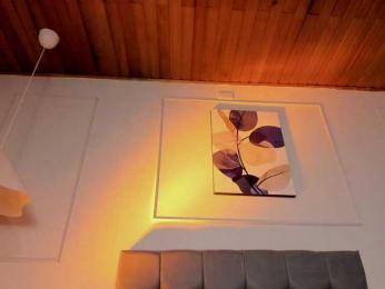 Nicole_Voshkie webcam model stream image