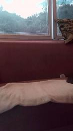 Emma_Jhons webcam model stream image