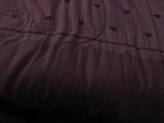 Shaya Asian webcam model stream image