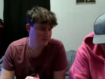 d_dart webcam model stream image