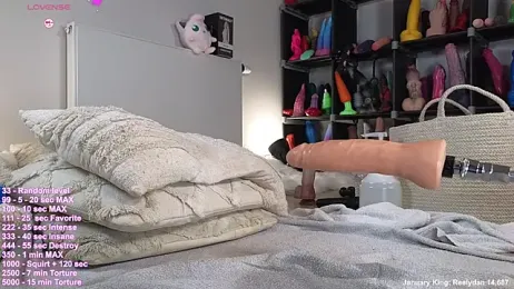 hayleex_x webcam stripchat model stream image