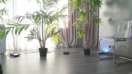 HotBustyBabeX webcam stripchat model stream image