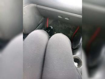 Artem29aAlisa29 webcam model stream image