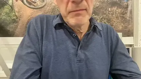 tauromolo webcam model stream image