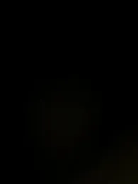 iloss2 webcam model stream image