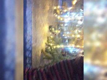 dbMagicdb webcam bongacams model stream image