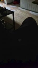 krps01 webcam model stream image