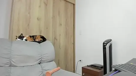 xspecialoomx webcam model stream image