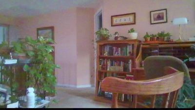 davep043 webcam cam4 model stream image