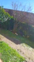 1908cristian webcam model stream image