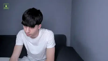 Quentin_Blake webcam model stream image