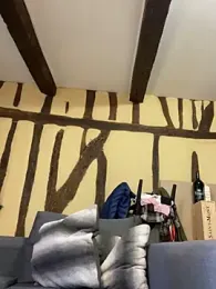 Toto-pika webcam stripchat model stream image