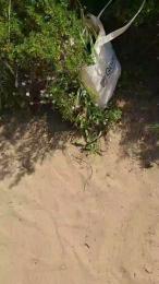 Vislumbre webcam model stream image