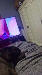 Ismael993 webcam cam4 model stream image