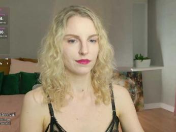 Visbee webcam model stream image