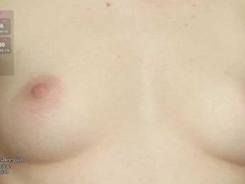 Visbee webcam model stream image