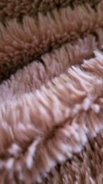 Duro0784 webcam model stream image