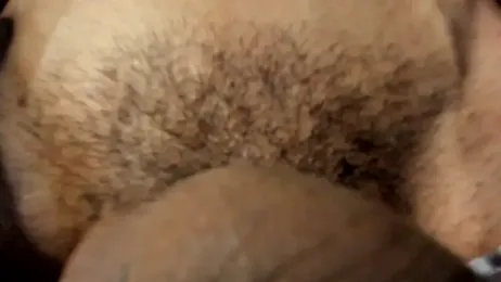 NicolaiKarav webcam model stream image