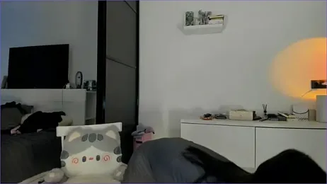 kokyokka_v webcam model stream image