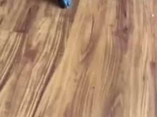 shoutex111 webcam camsoda model stream image